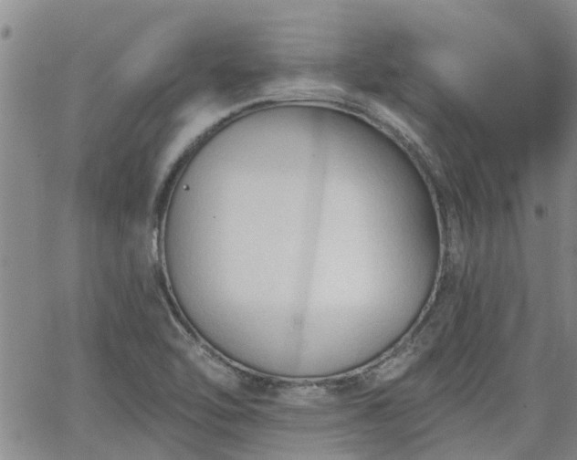 X0000063481462200601231335