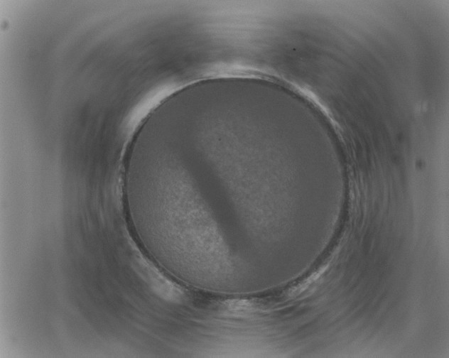 X0000063481463200601231335