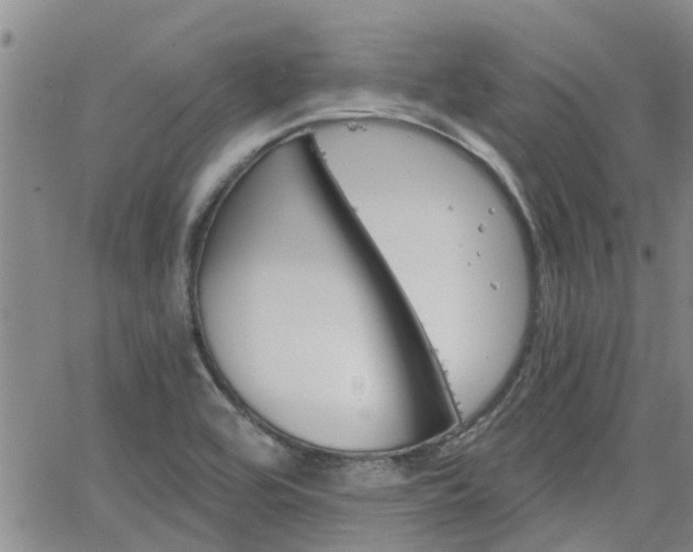 X0000063481464200601231334