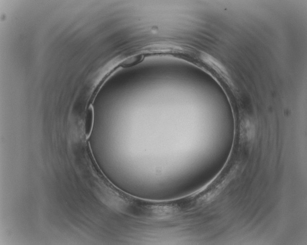 X0000063481465200601231334