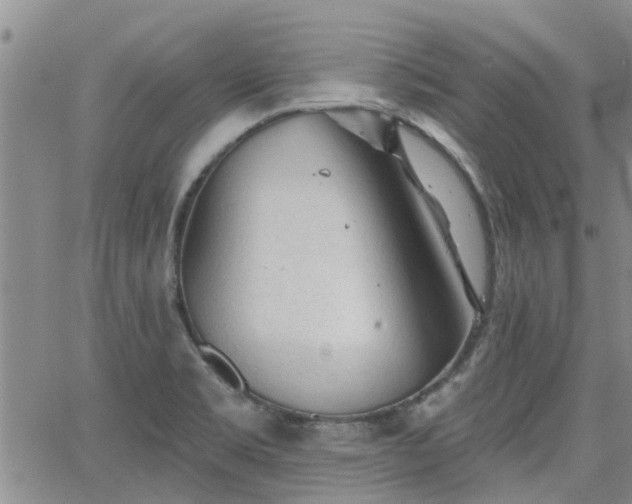 X0000063481469200601231334