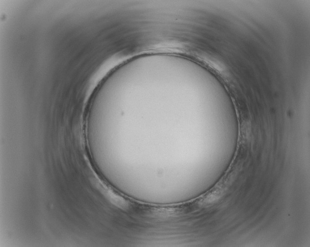 X0000063481470200601231334