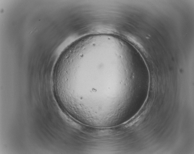 X0000063481471200601231334