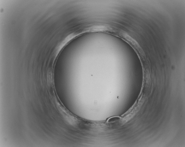 X0000063481473200601231334