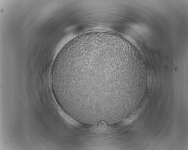 X0000063481474200601231334