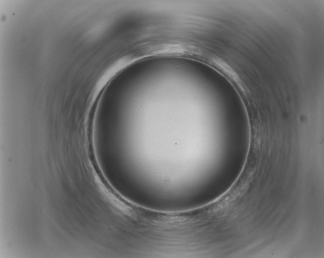 X0000063481475200601231334