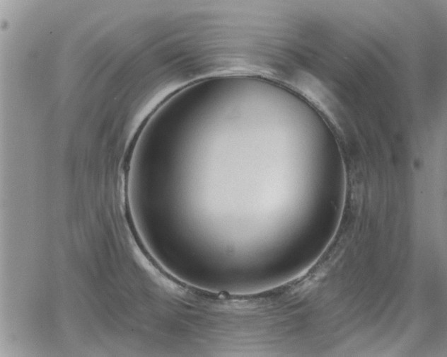 X0000063481476200601231334