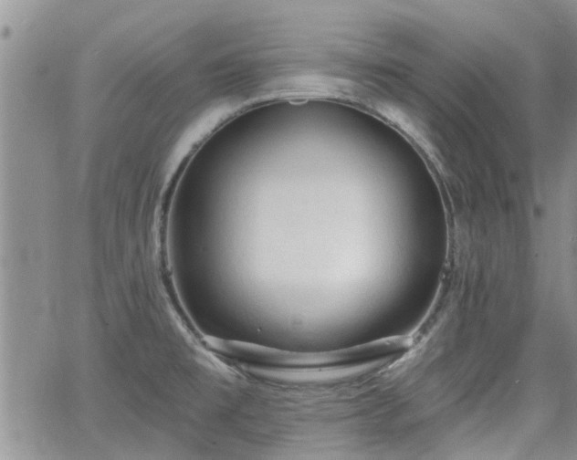 X0000063481477200601231334