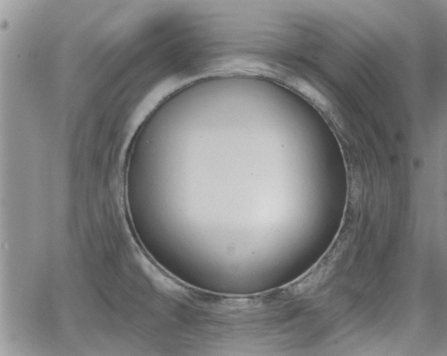 X0000063481478200601231334