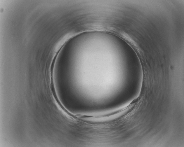 X0000063481479200601231334