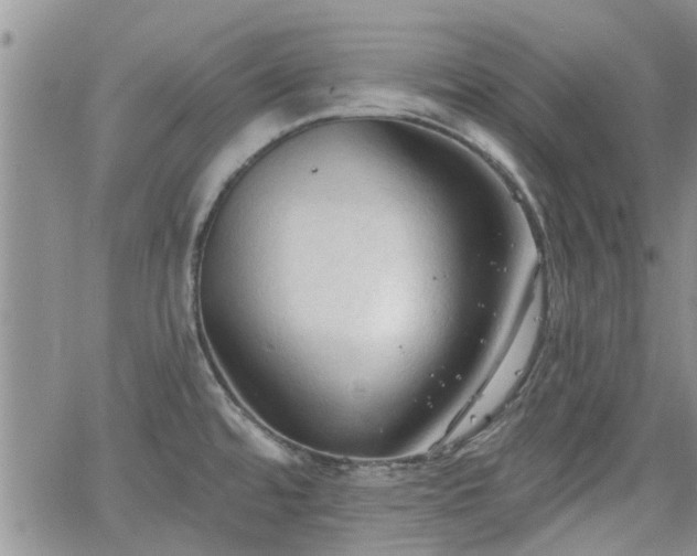 X0000063481480200601231334