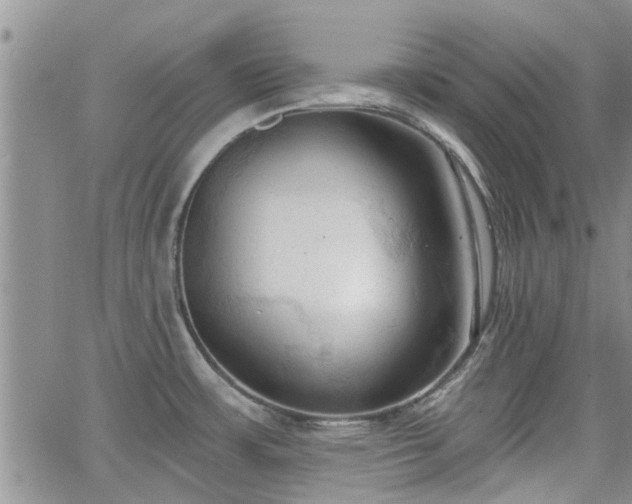 X0000063481483200601231334