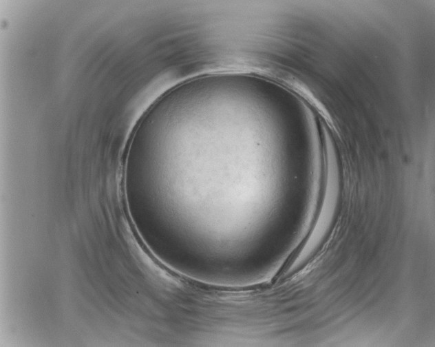 X0000063481484200601231334