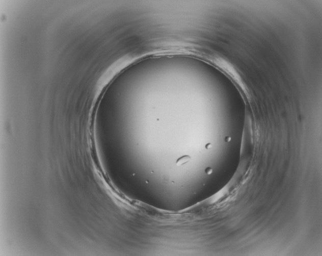 X0000063481485200601231334