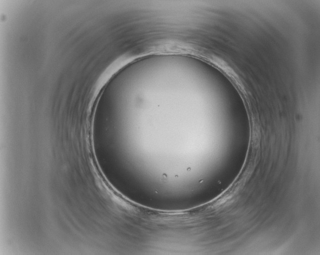 X0000063481486200601231334