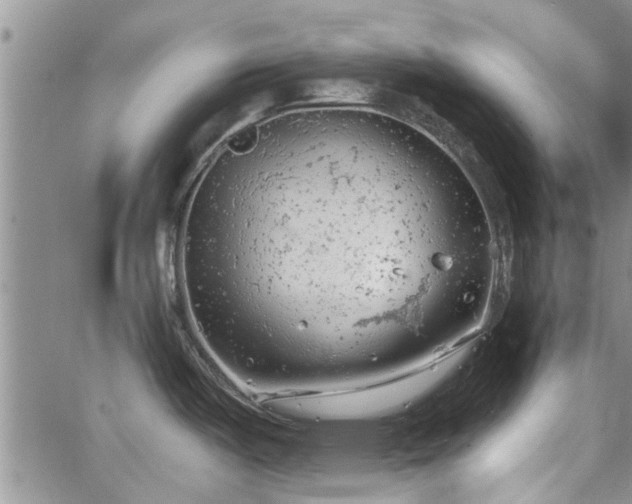 X0000063481487200601231334