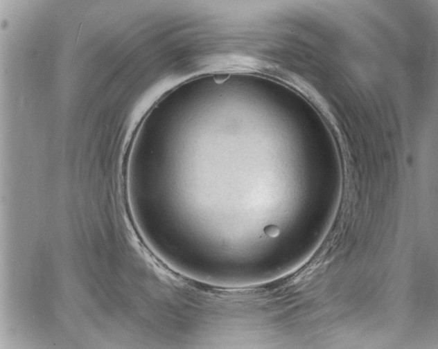 X0000063481488200601231334