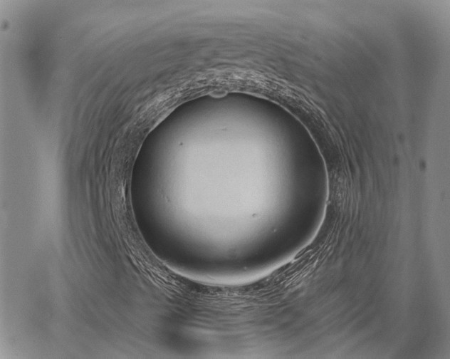 X0000063481489200601231333