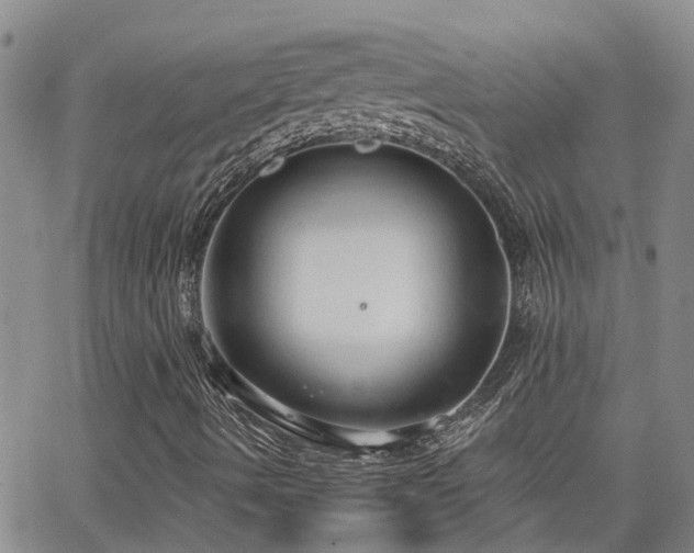 X0000063481490200601231333