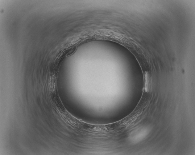 X0000063481491200601231333