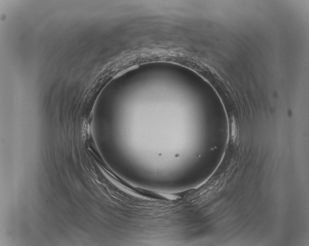 X0000063481492200601231333