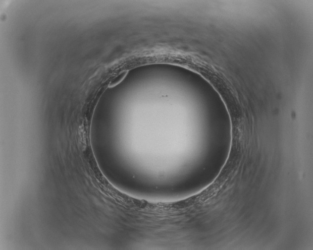 X0000063481493200601231333