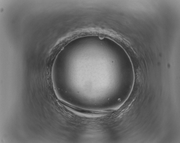 X0000063481494200601231333