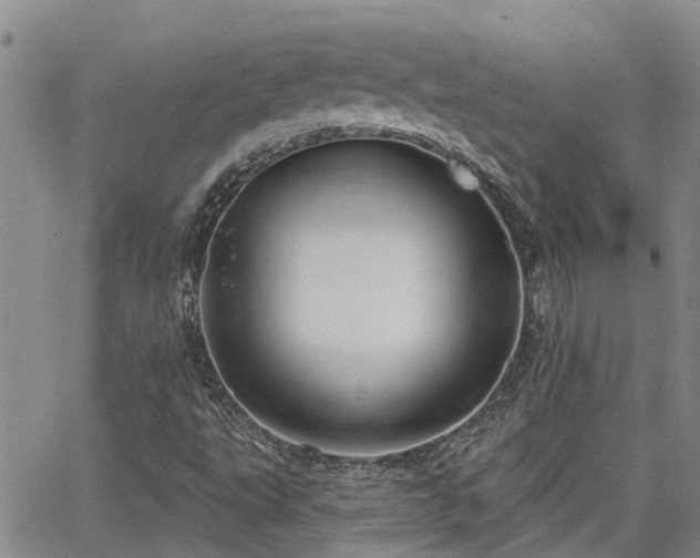 X0000063481495200601231333