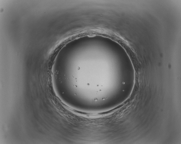 X0000063481496200601231333