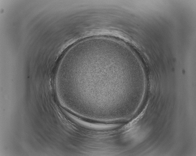 X0000063481497200601231333