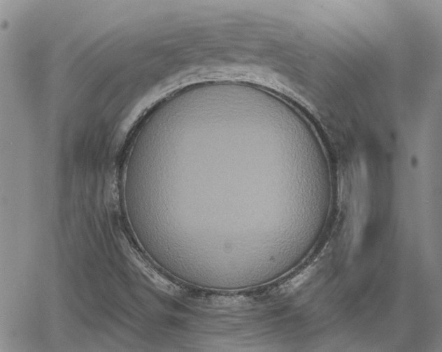 X0000063481498200601231333