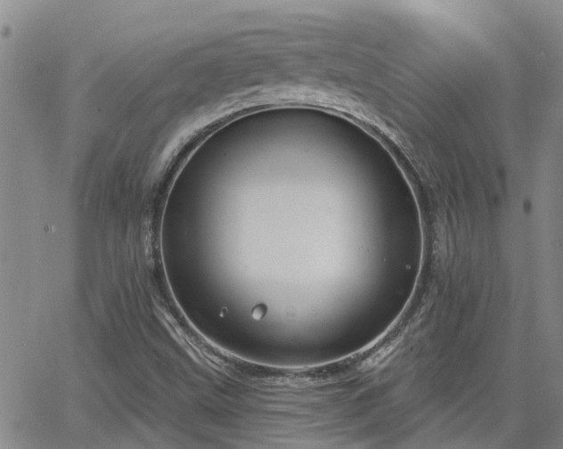 X0000063481499200601231333