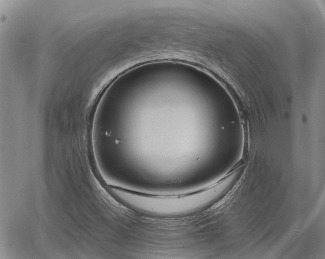 X0000063481500200601231334