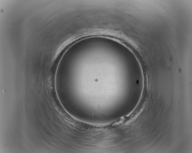 X0000063481501200601231334