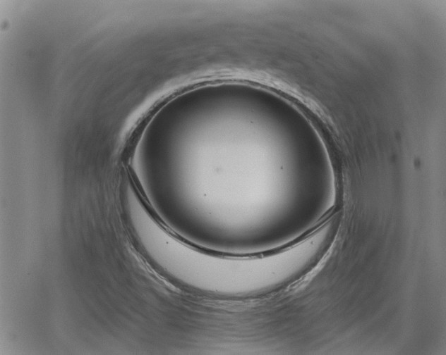 X0000063481502200601231334