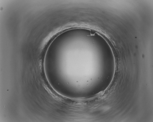 X0000063481503200601231334