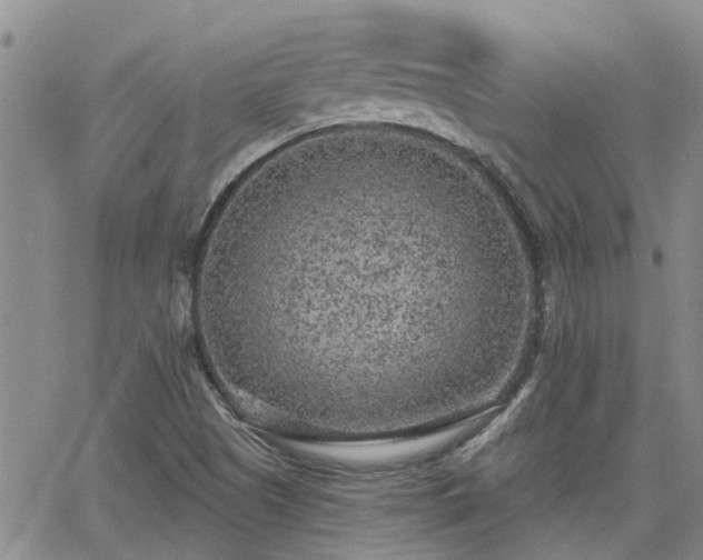 X0000063481505200601231334