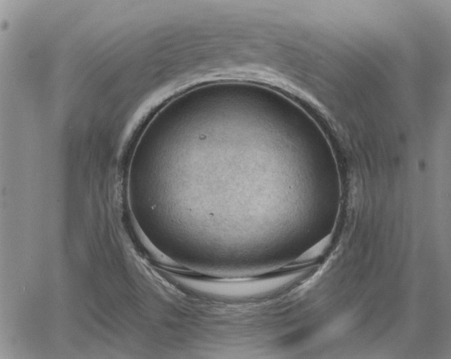 X0000063481506200601231334