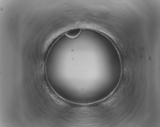 X0000063481507200601231334