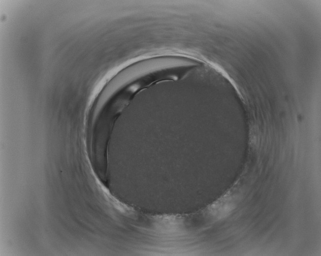 X0000063481508200601231334