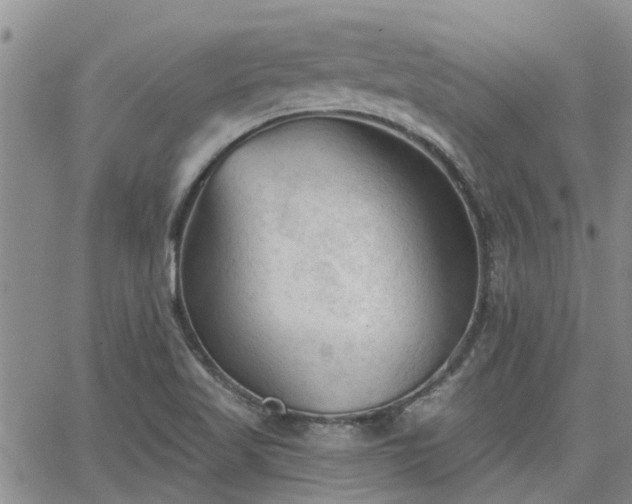 X0000063481509200601231334