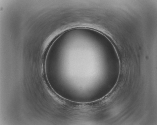 X0000063481511200601231334