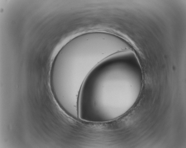 X0000063481512200601231334