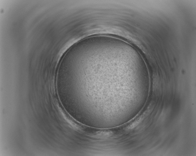 X0000063481513200601231334