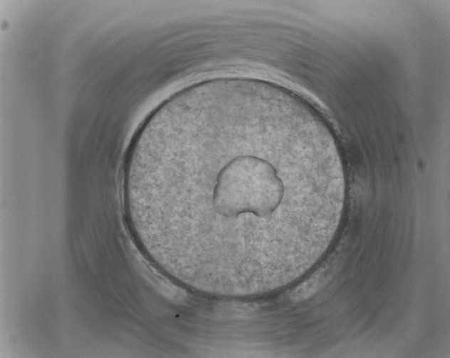 X0000063481514200601231334