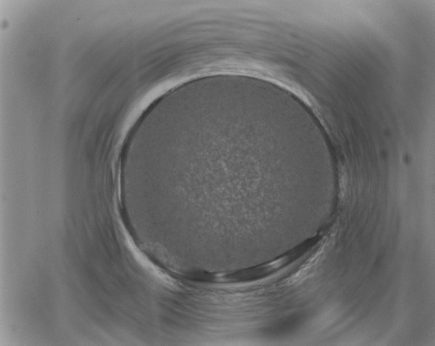 X0000063481515200601231334