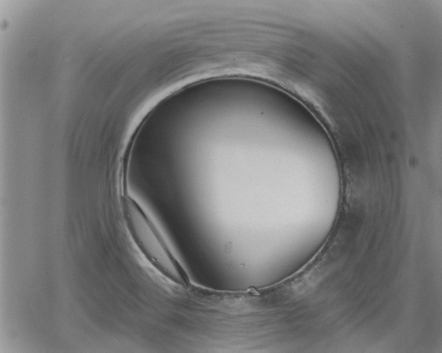 X0000063481516200601231334