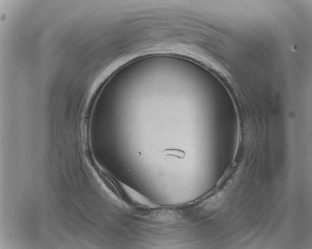 X0000063481517200601231334