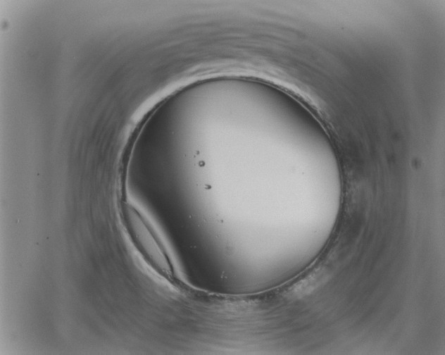 X0000063481518200601231334