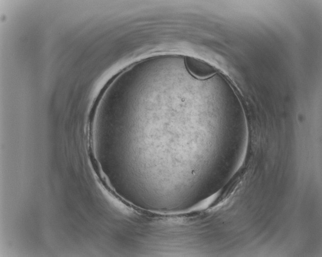 X0000063481519200601231334